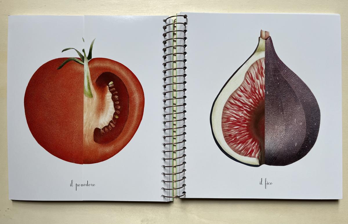 Topipittori Primavera Estate Autunno Inverno libro bambini con alette