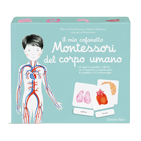 L’Ippocampo Montessori Corpo Umano cofanetto bambini