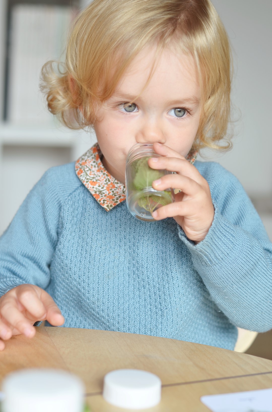 Baboo Erbe aromatiche carte nomenclature montessori pdf
