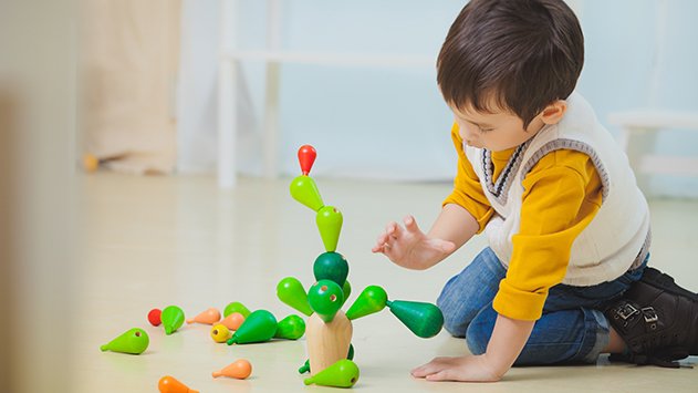 Plan Toys Cactus Grande gioco equilibrio 19 pezzi legno
