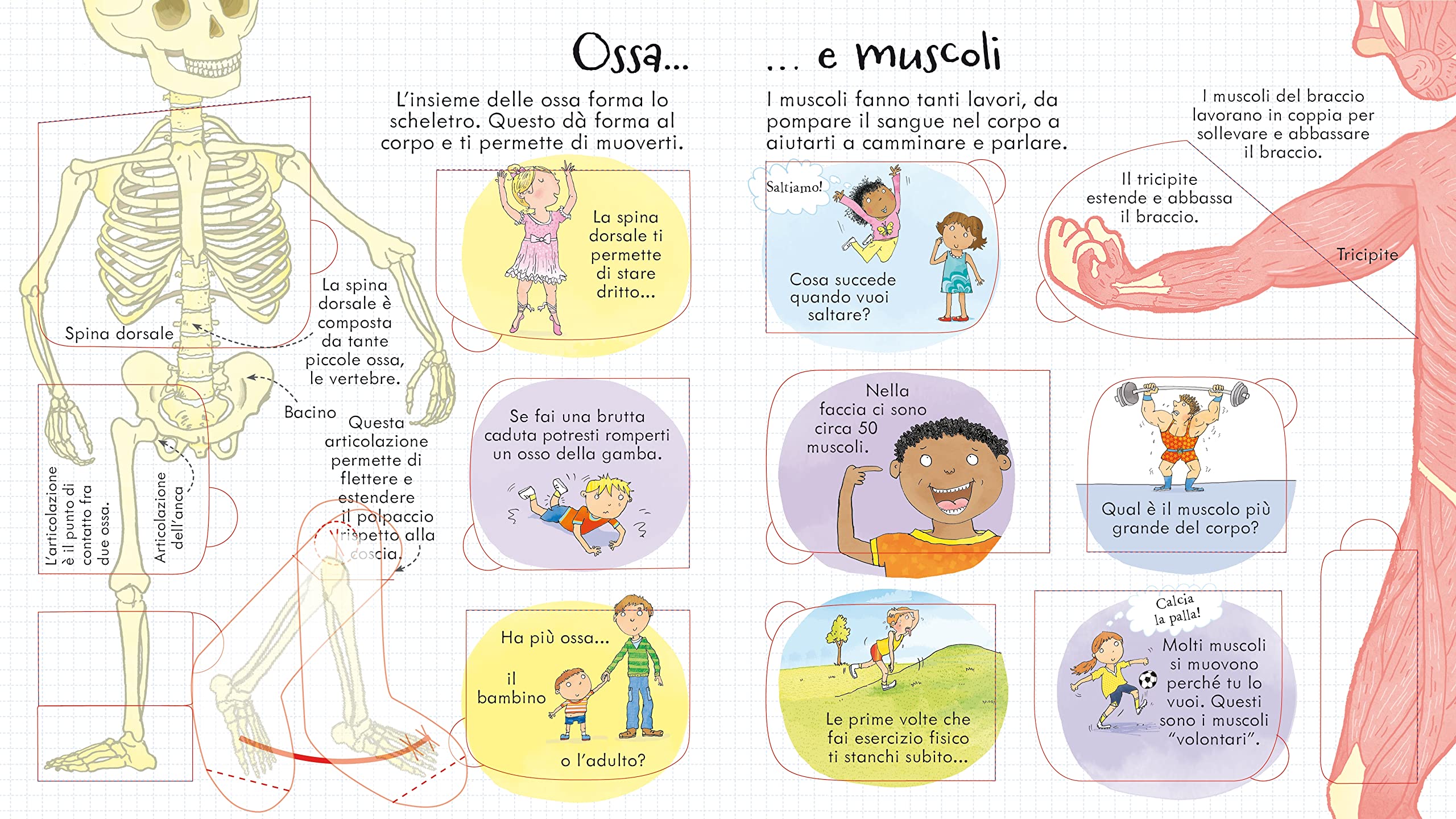 Usborne Il corpo umano libro animato con alette