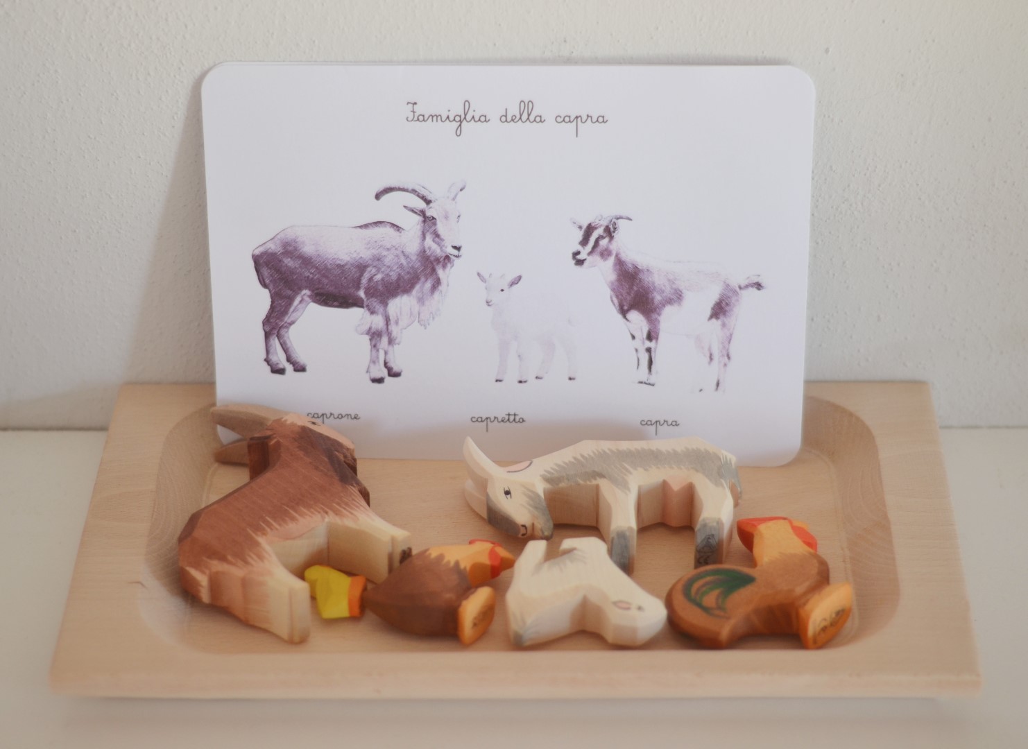 Baboo Famiglie Fattoria carte nomenclature montessori pdf