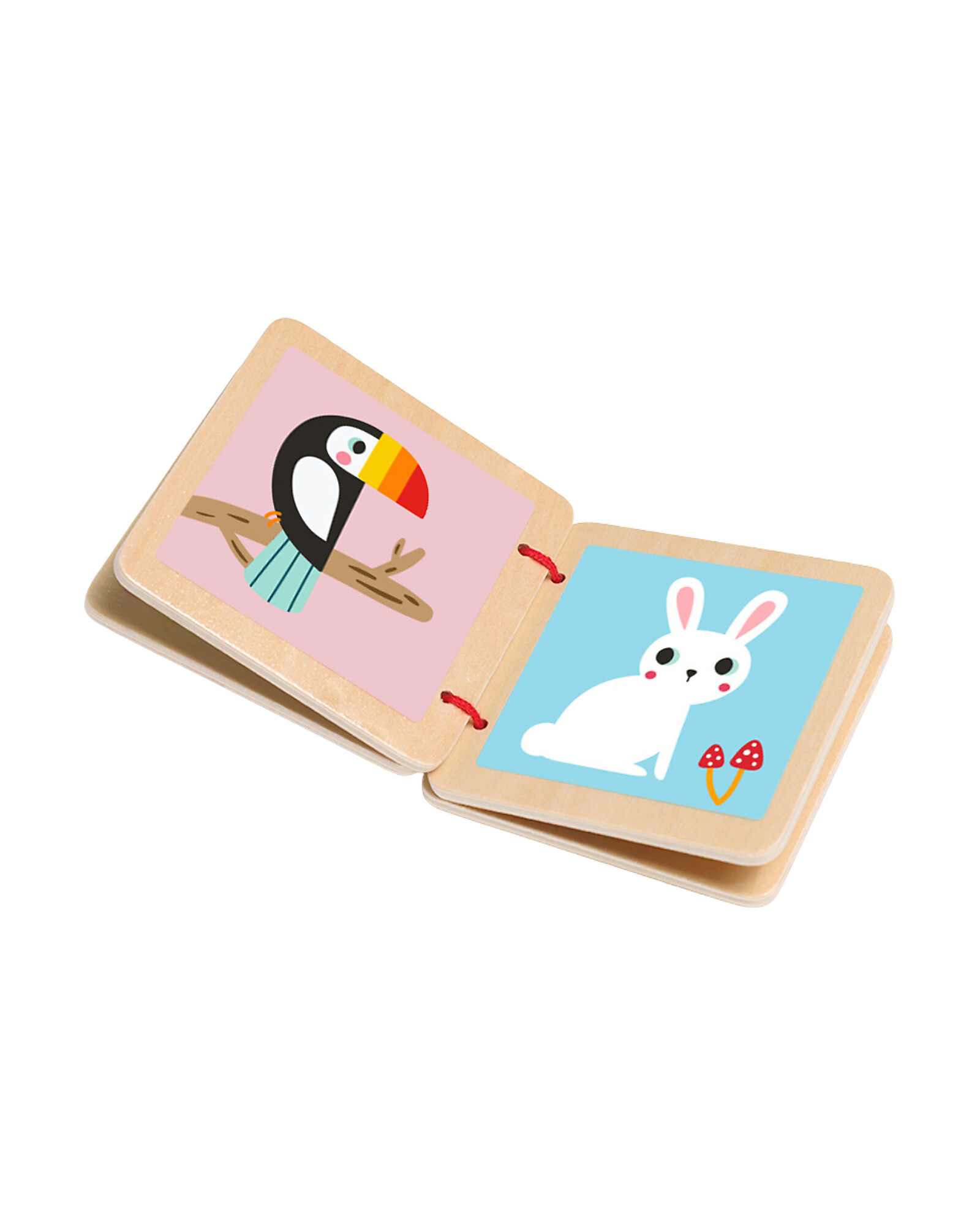 Tooky Toy Scatola Multisensoriale gioco montessori 22 pezzi