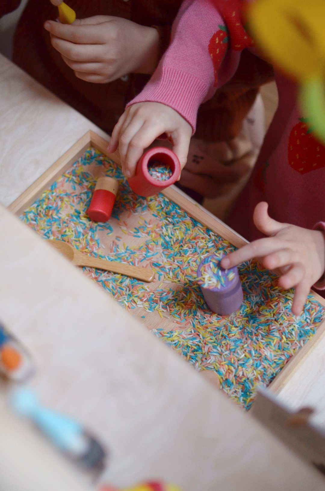 PlayKitBaboo Carnevale degli Animali Playkit Sensoriale con Libro