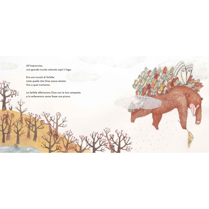 Orso acchiappafarfalle libro illustrato bontà e amicizia