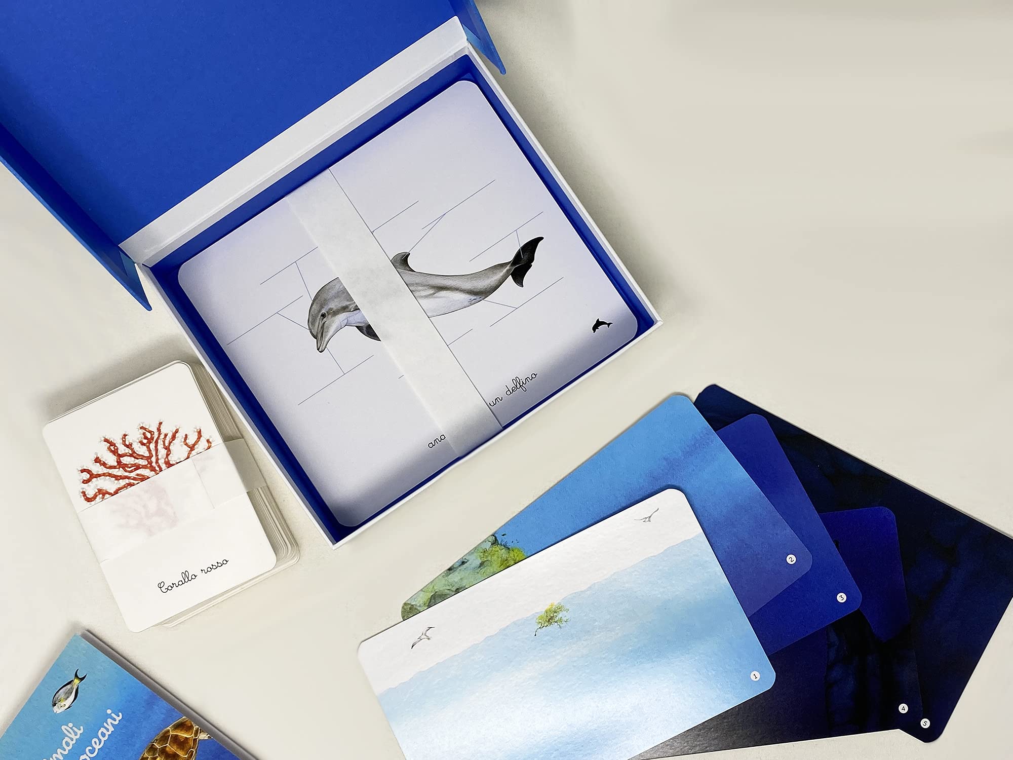 L'Ippocampo Cofanetto Montessori Oceani con Carte e Libro