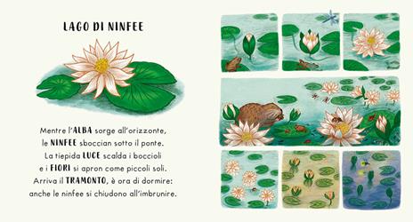 Giunti Piano Piano al Parco Libro Cartonato Rime