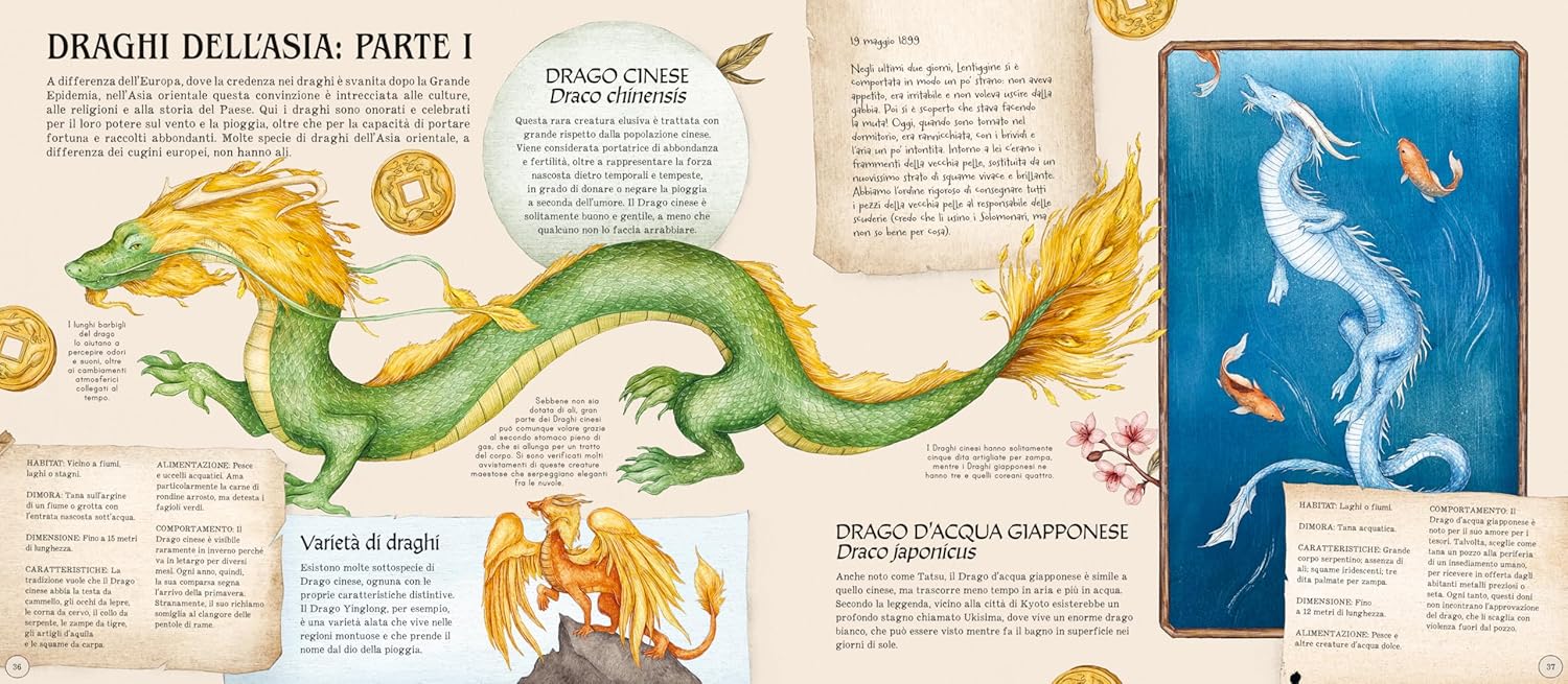 Il Castello Enciclopedia dei Draghi libro 64 pagine