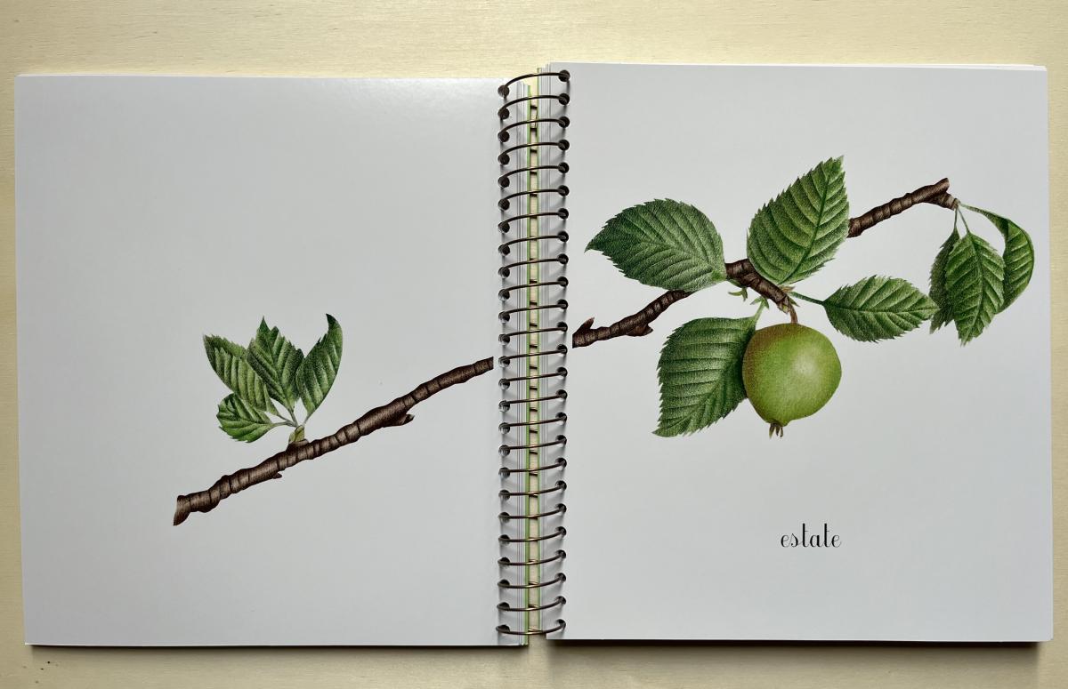 Topipittori Primavera Estate Autunno Inverno libro bambini con alette