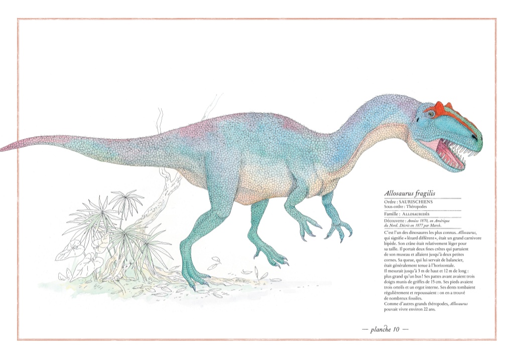 L'Ippocampo Inventario illustrato dei dinosauri libro cartonato