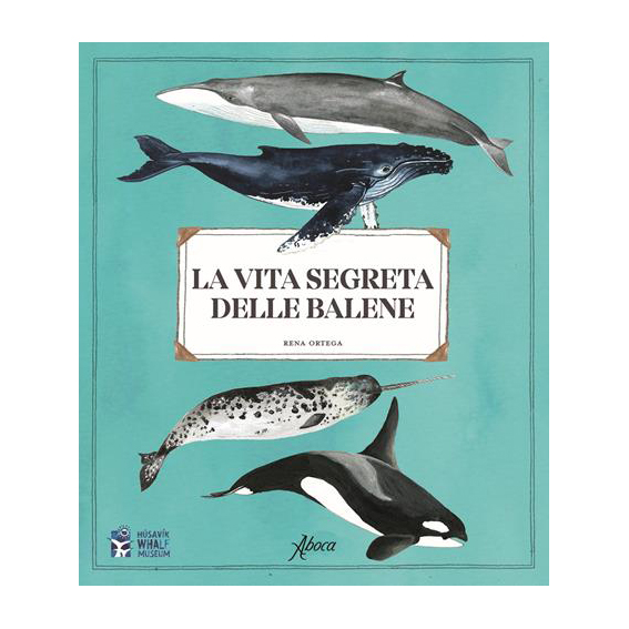 Aboca La vita segreta delle balene libro 48 pagine