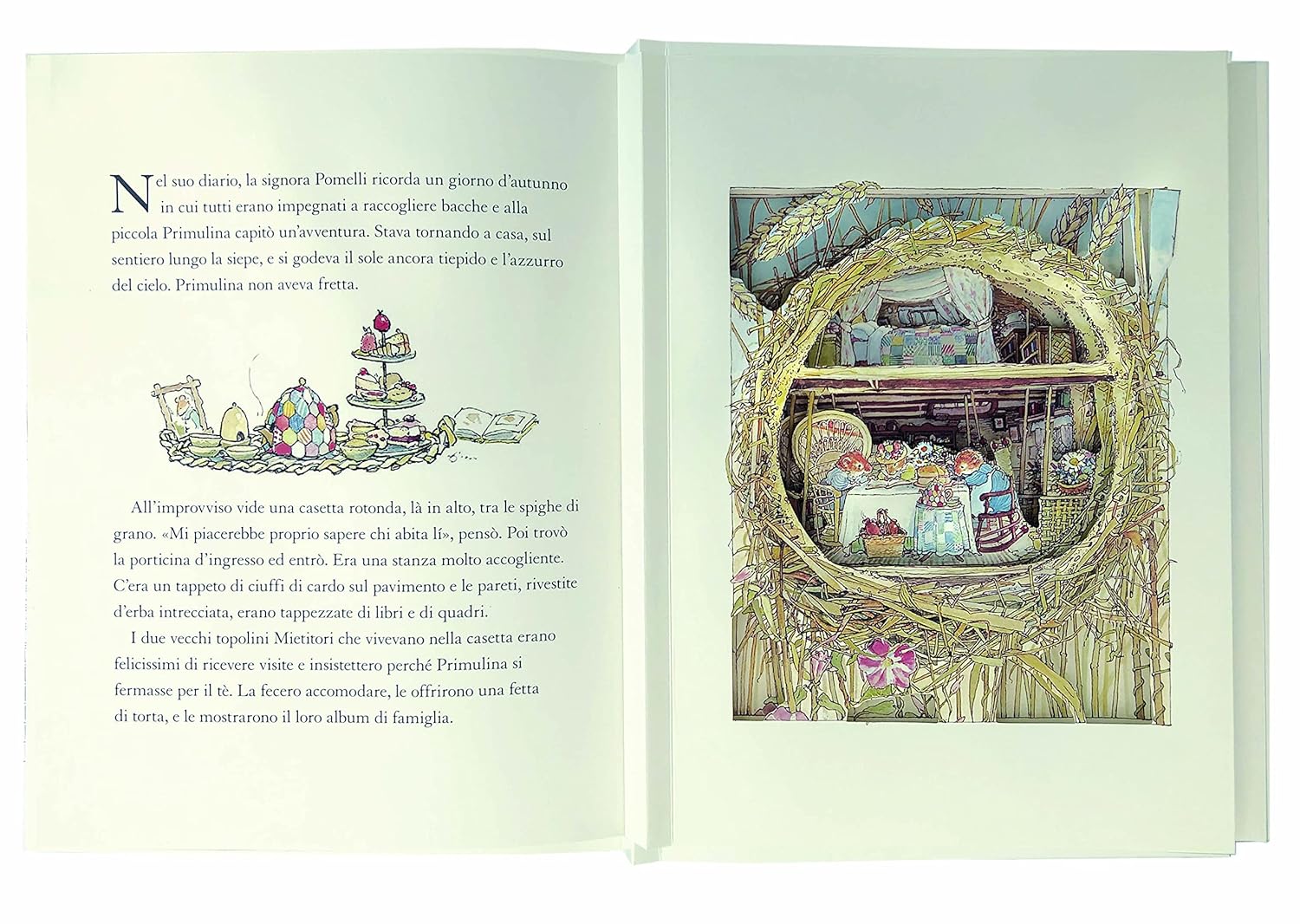 EL Mondo di Boscodirovo libro pop-up 3D