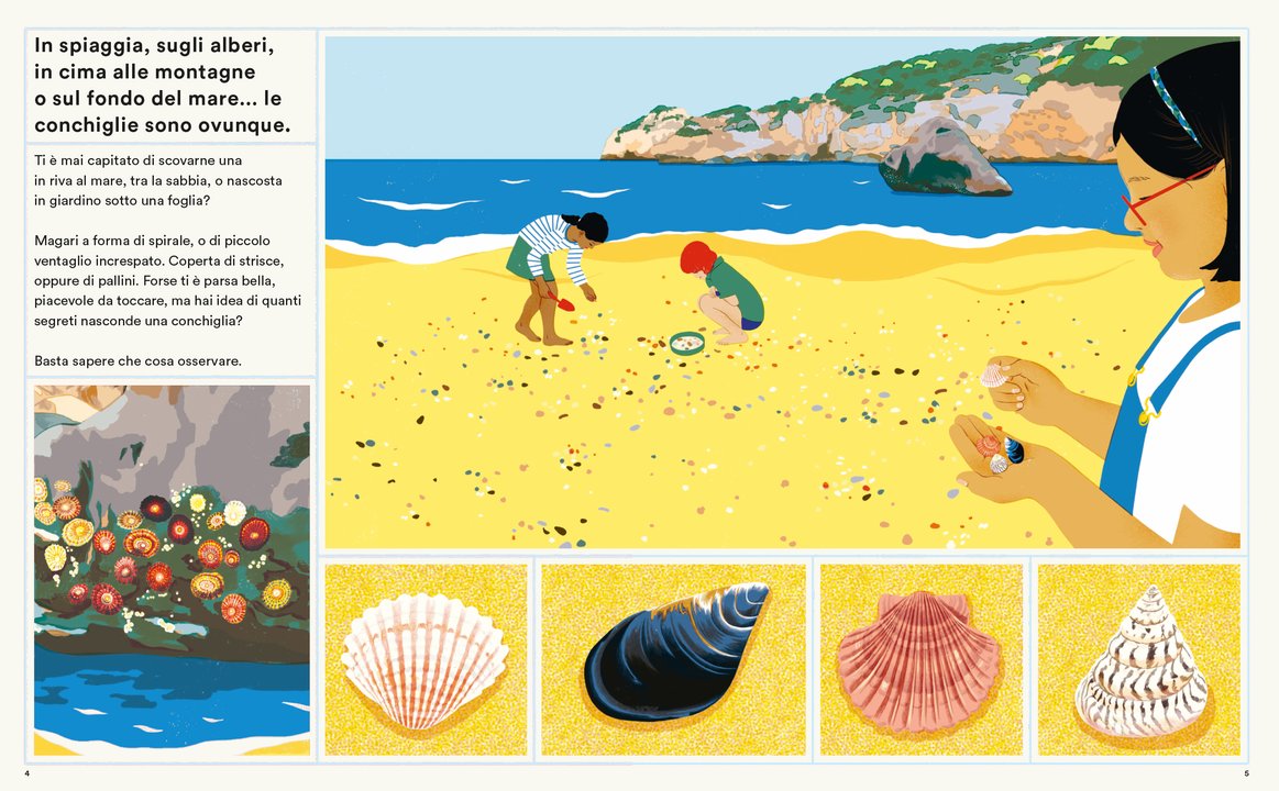 L'Ippocampo Vita segreta delle conchiglie libro dai 6 anni