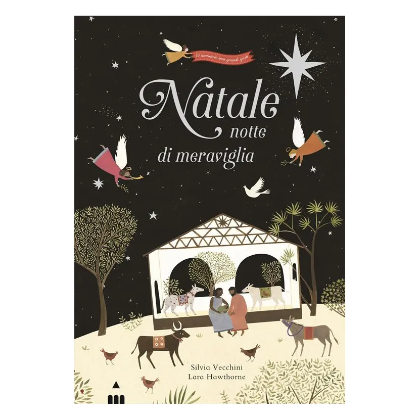 Natale notte di meraviglia Vecchini libro illustrato 36 pagine