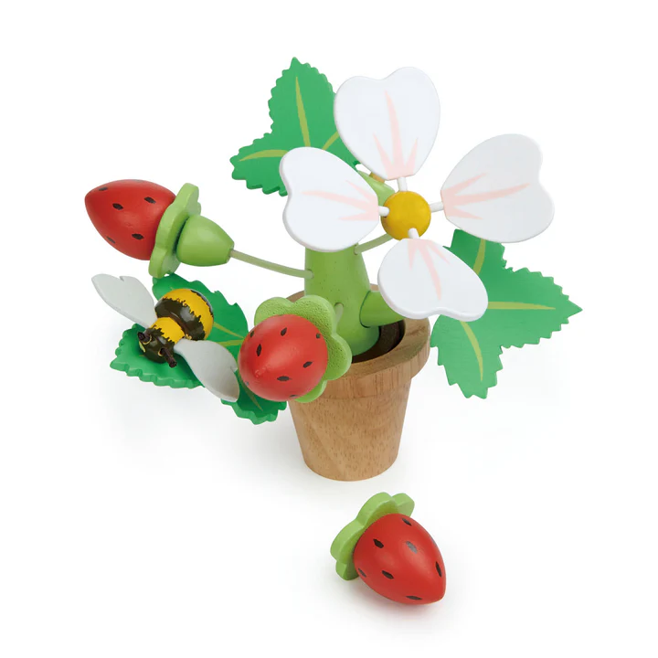 Tender Leaf Strawberry set giardinaggio fragole legno
