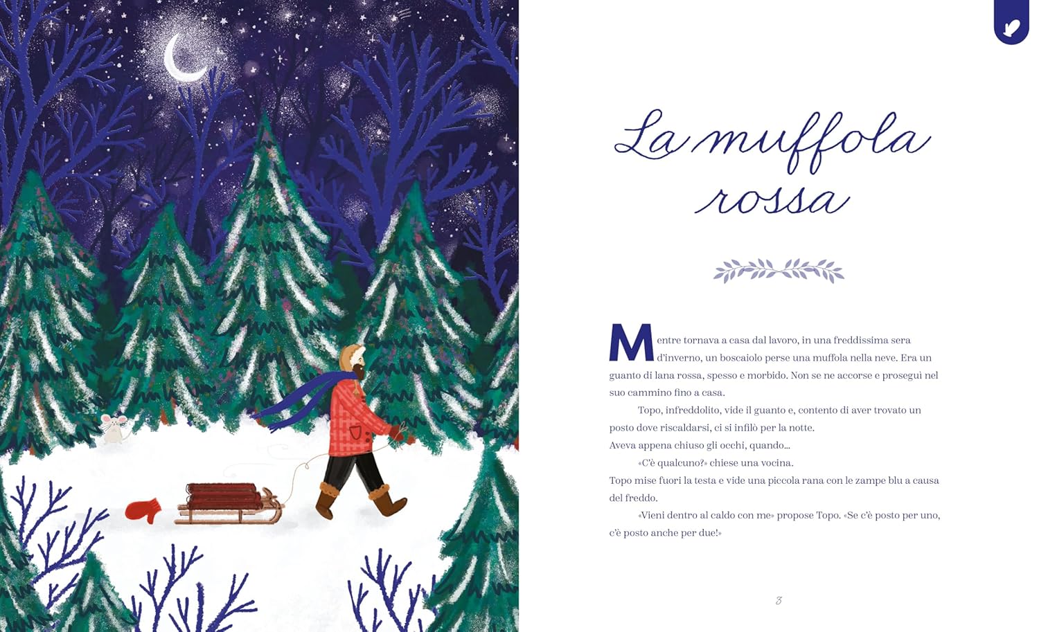 Sassi Racconti d’inverno libro illustrato copertina rigida