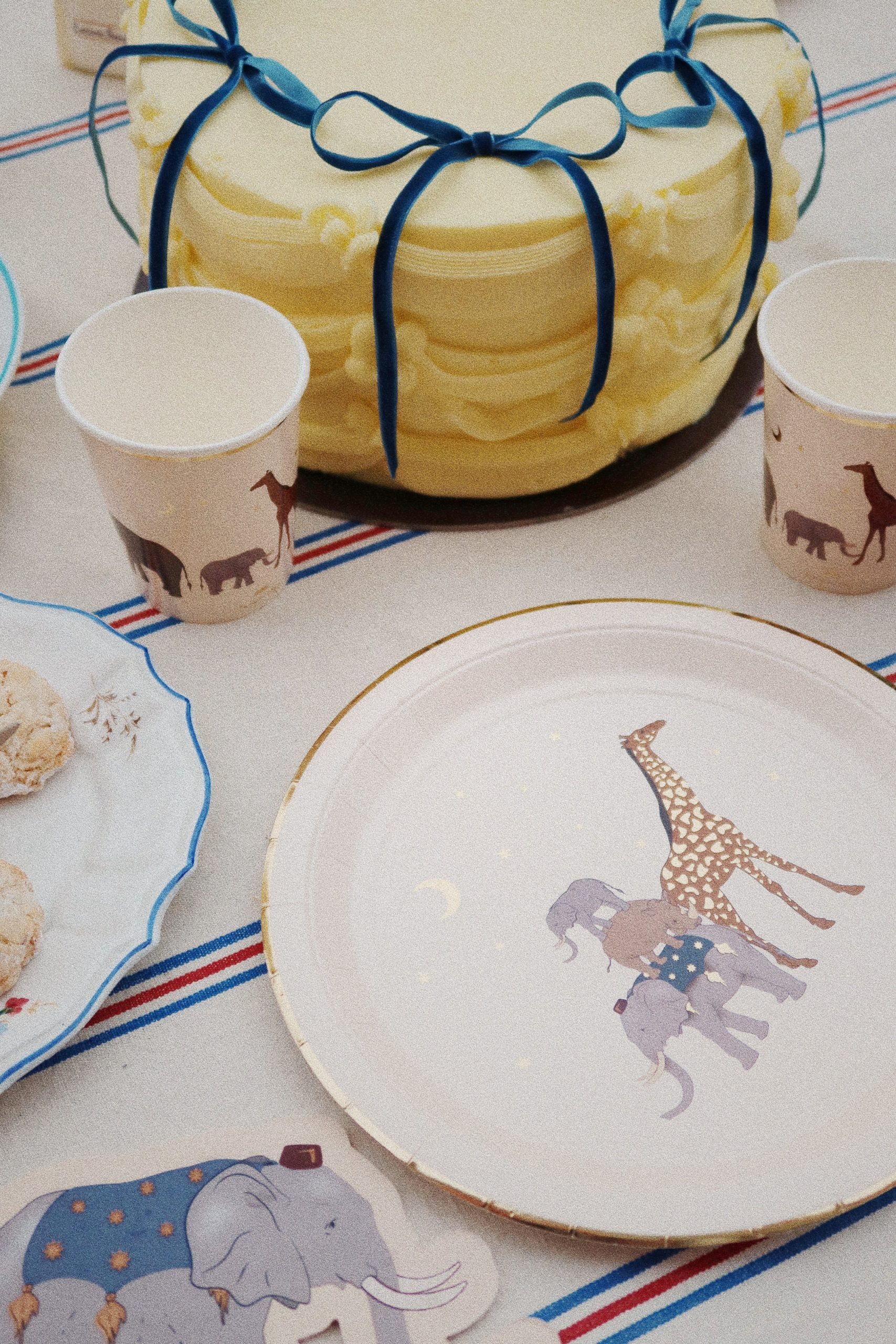 Konges Sløjd Safari kit decorazioni compleanno carta 8 piatti