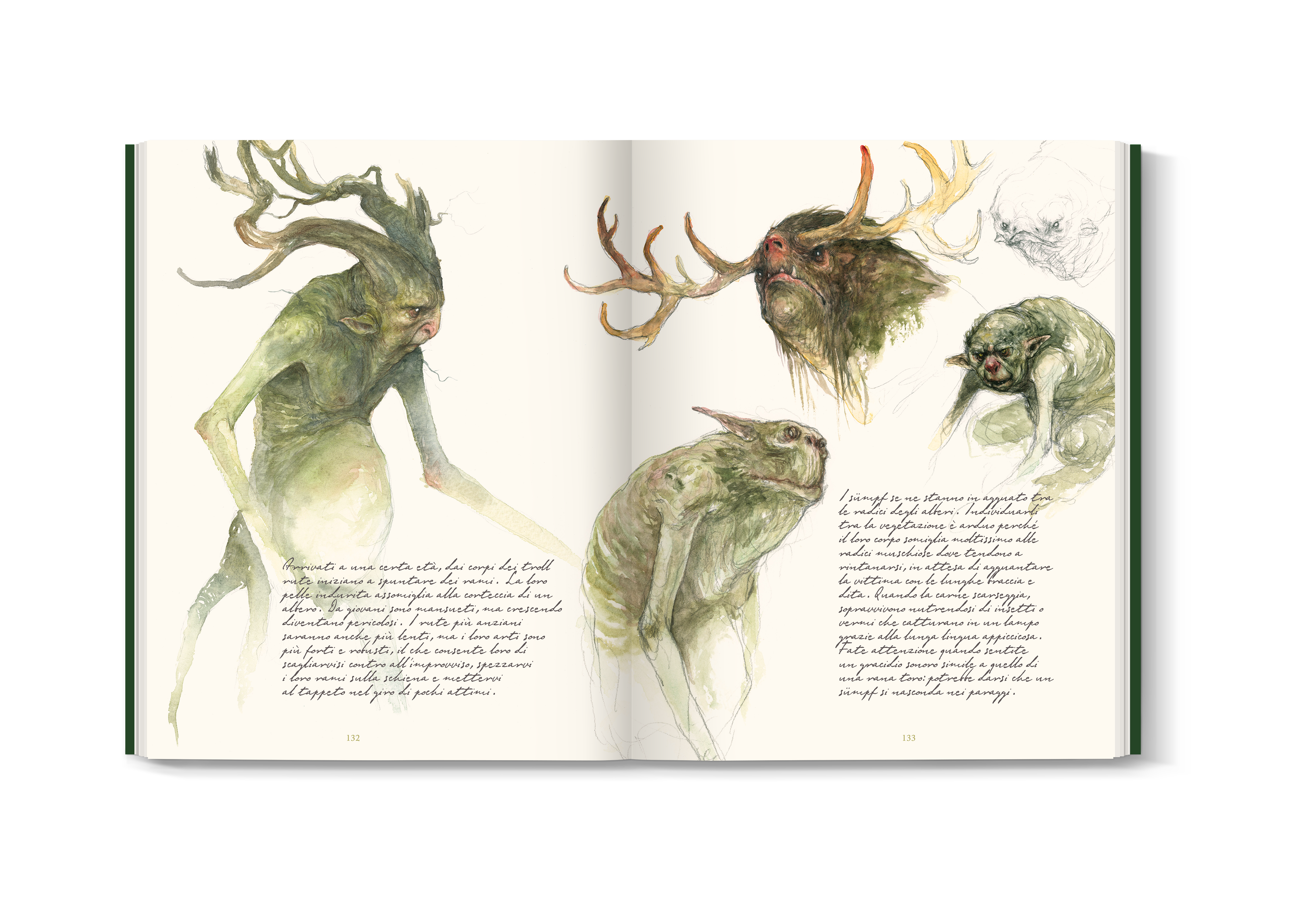 Moscabianca La faglia delle fate libro illustrato Iris Compiet