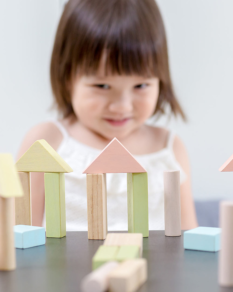 Plan Toys Costruzioni pastello mattoncini legno 40 pezzi