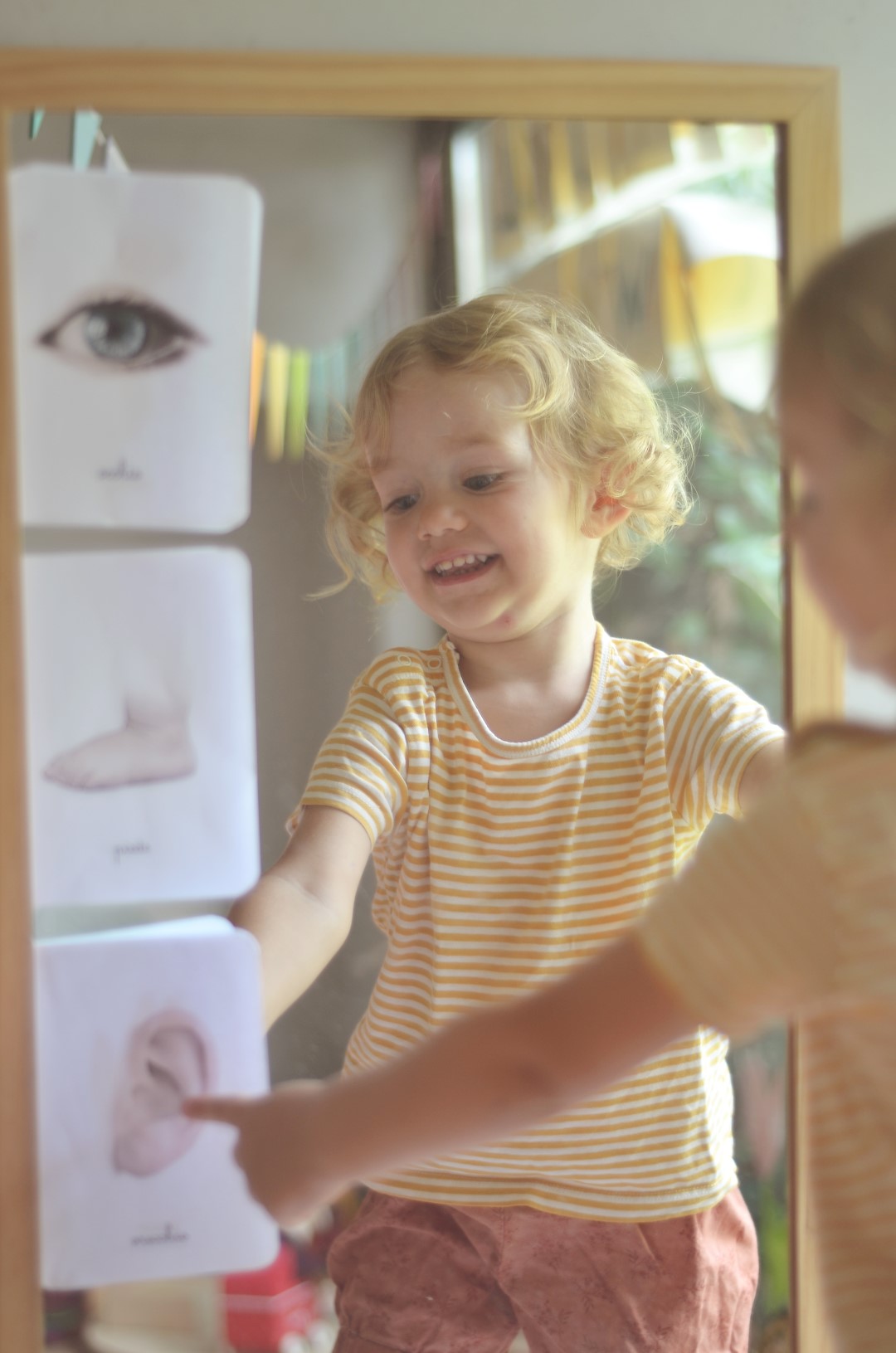 Carte nomenclature corpo umano PDF Montessori 27 carte A4