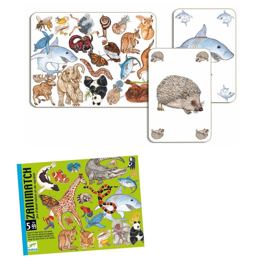Djeco Zanimatch gioco di carte osservazione 5 anni+