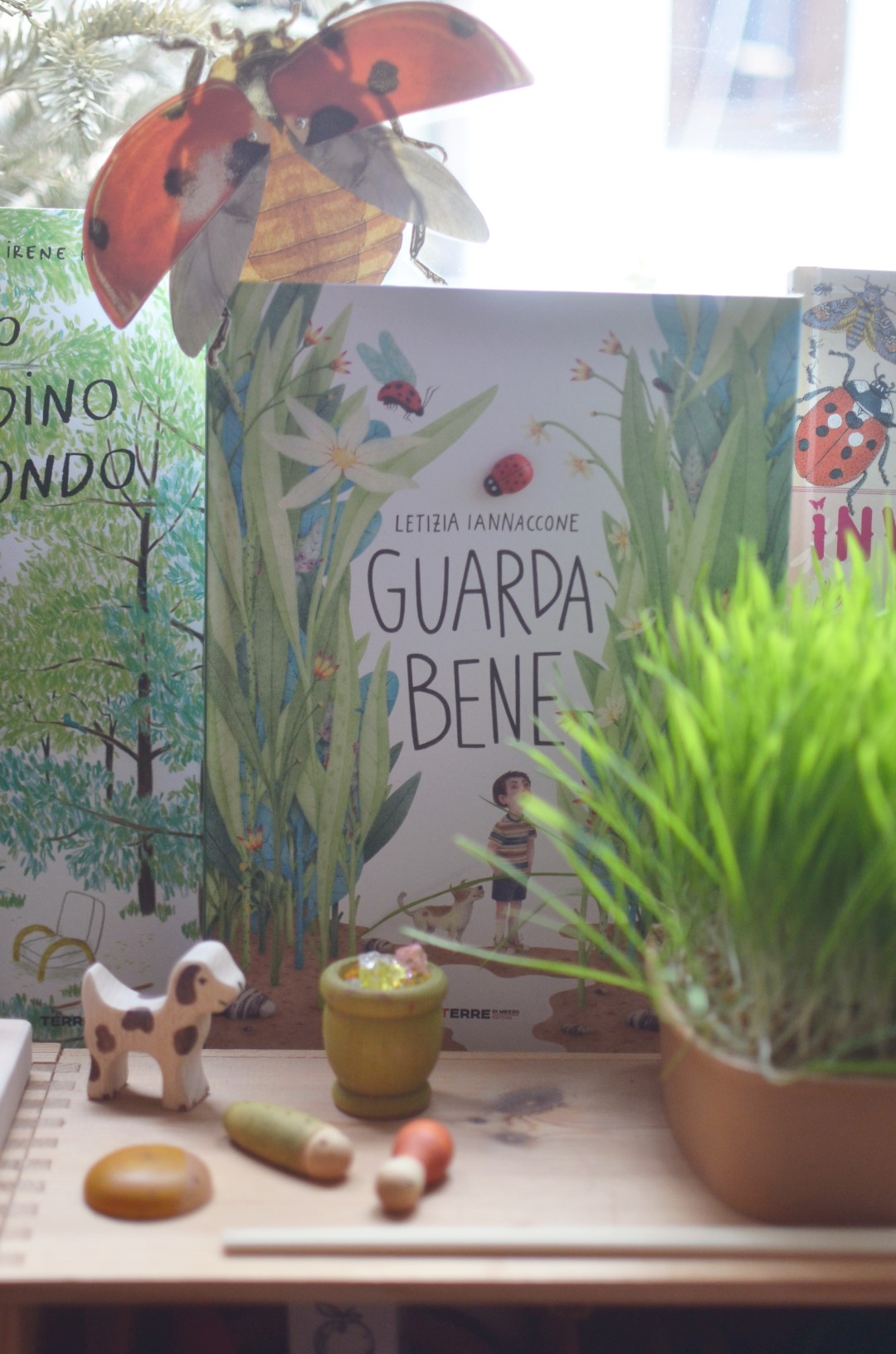 PlayKitBaboo Guarda bene kit gioco sensoriale erba gatta