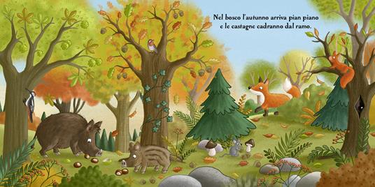 Emme Edizioni Libro Autunno nel Bosco Cartonato 16 Pagine