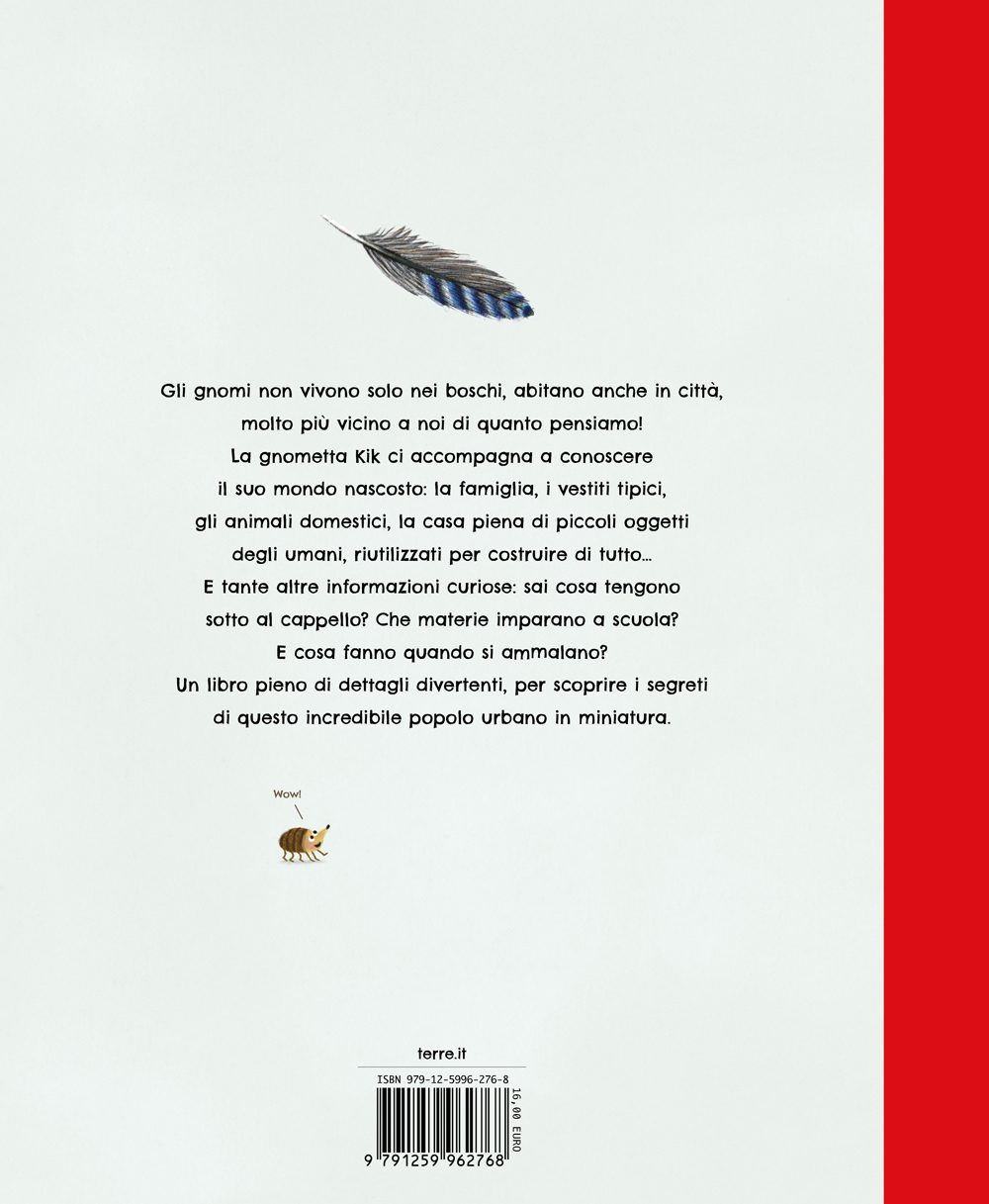 Terre di Mezzo Tutto sugli Gnomi di Città Libro 3-6 Anni