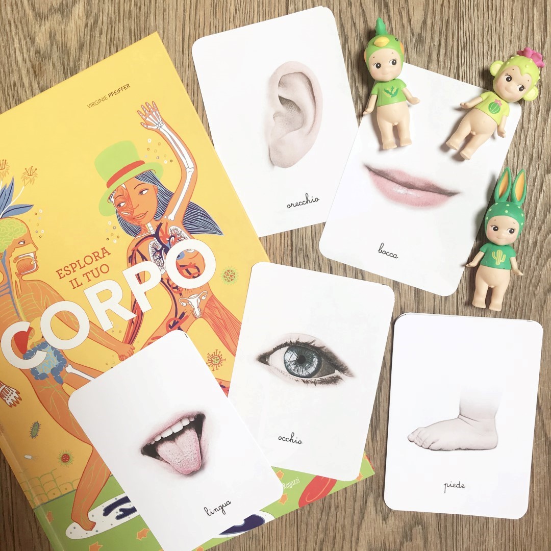 Carte nomenclature corpo umano PDF Montessori 27 carte A4