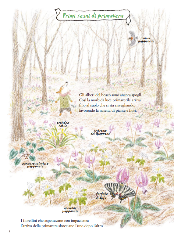 Fabbri Fiori che sbocciano e raggi di sole libro 48 pagine 3-6 anni