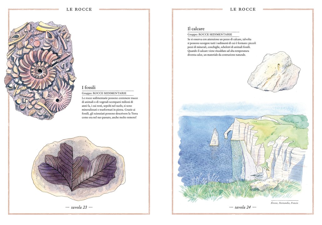L'Ippocampo Inventario minerali libro da 6 anni