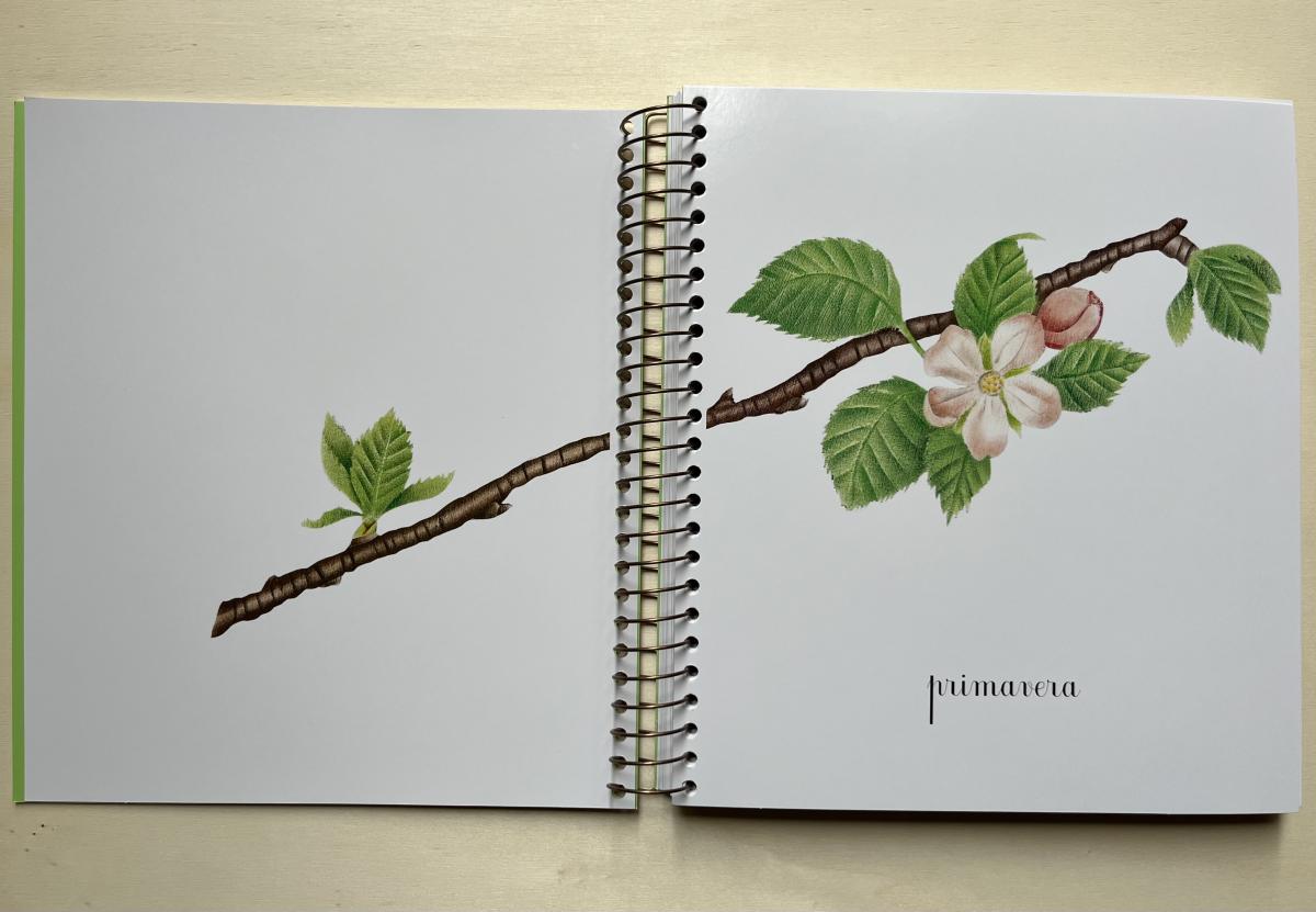 Topipittori Primavera Estate Autunno Inverno libro bambini con alette