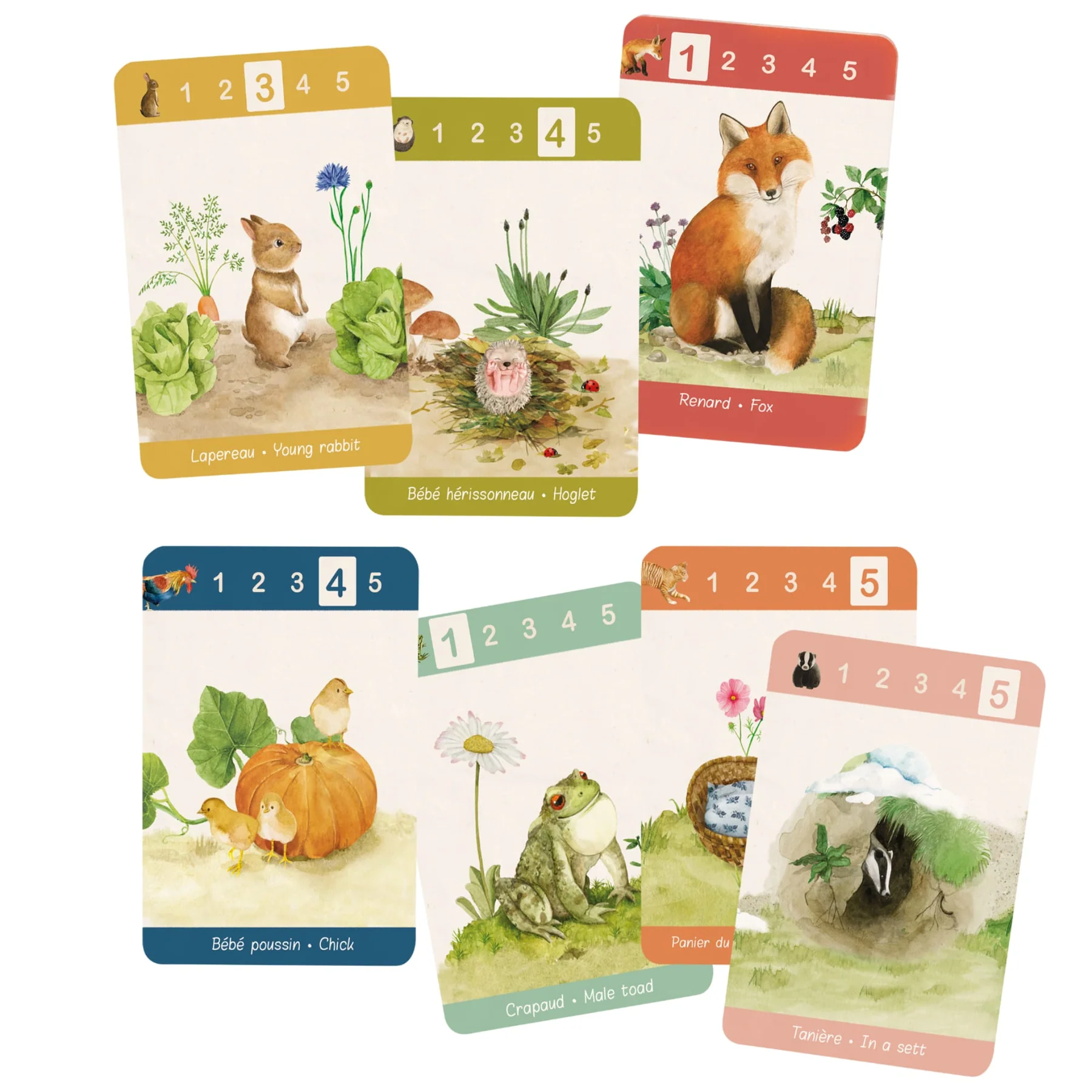 Moulin Roty Le Jardin 7 famiglie carte gioco