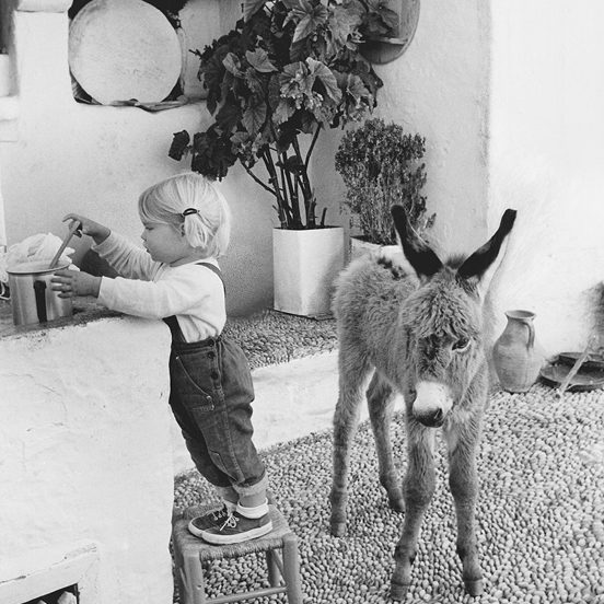 Terre di Mezzo Il Mio Asinello Benjamin Libro 56 Pagine 3-6 Anni
