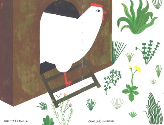 Clichy Questo non è un Pollo libro illustrato 80 pagine