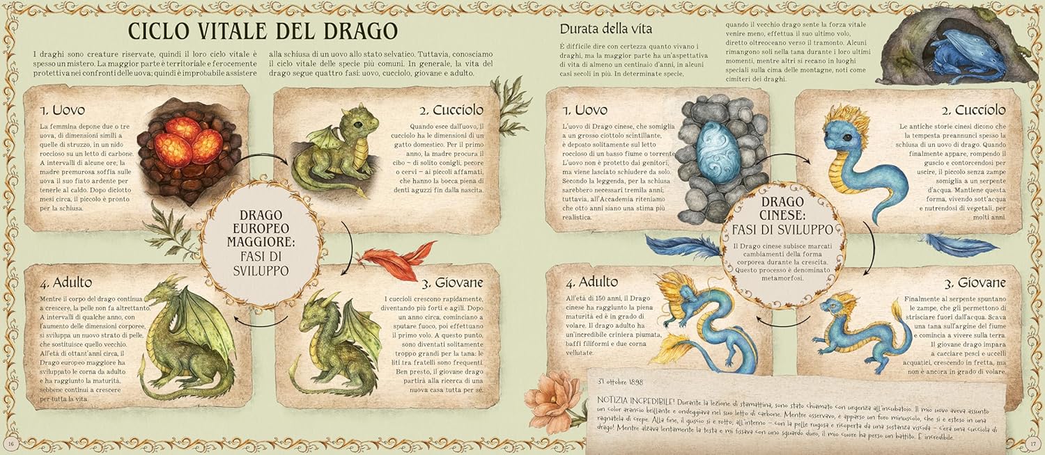 Il Castello Enciclopedia dei Draghi libro 64 pagine