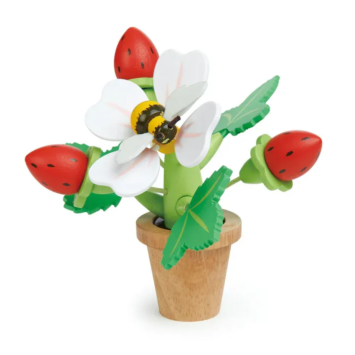 Tender Leaf Strawberry set giardinaggio fragole legno