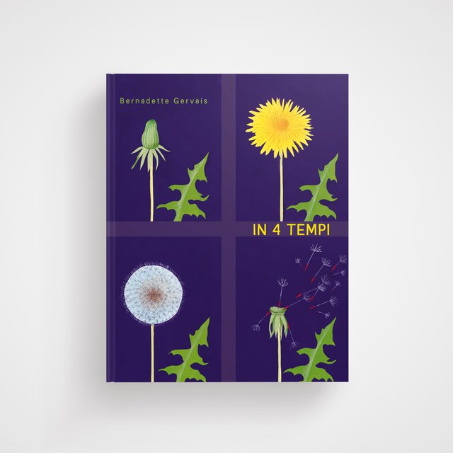 L'Ippocampo In 4 Tempi libro bambini cartonato