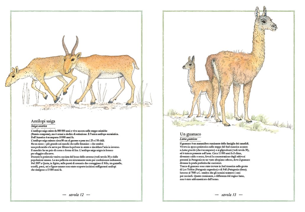 L'Ippocampo Inventario Illustrato Preistoria libro cartonato 6-9 anni