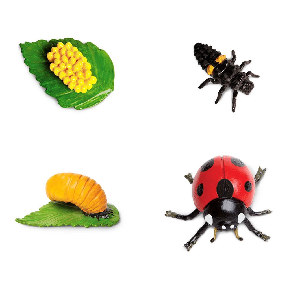 Safari Ltd Ciclo Vita Coccinella set 4 figure resina
