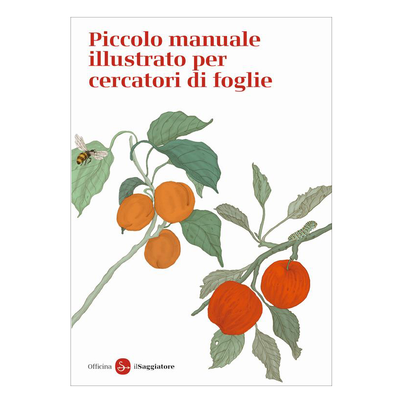 Il Saggiatore Piccolo manuale cercatori di foglie libro dai 6 anni