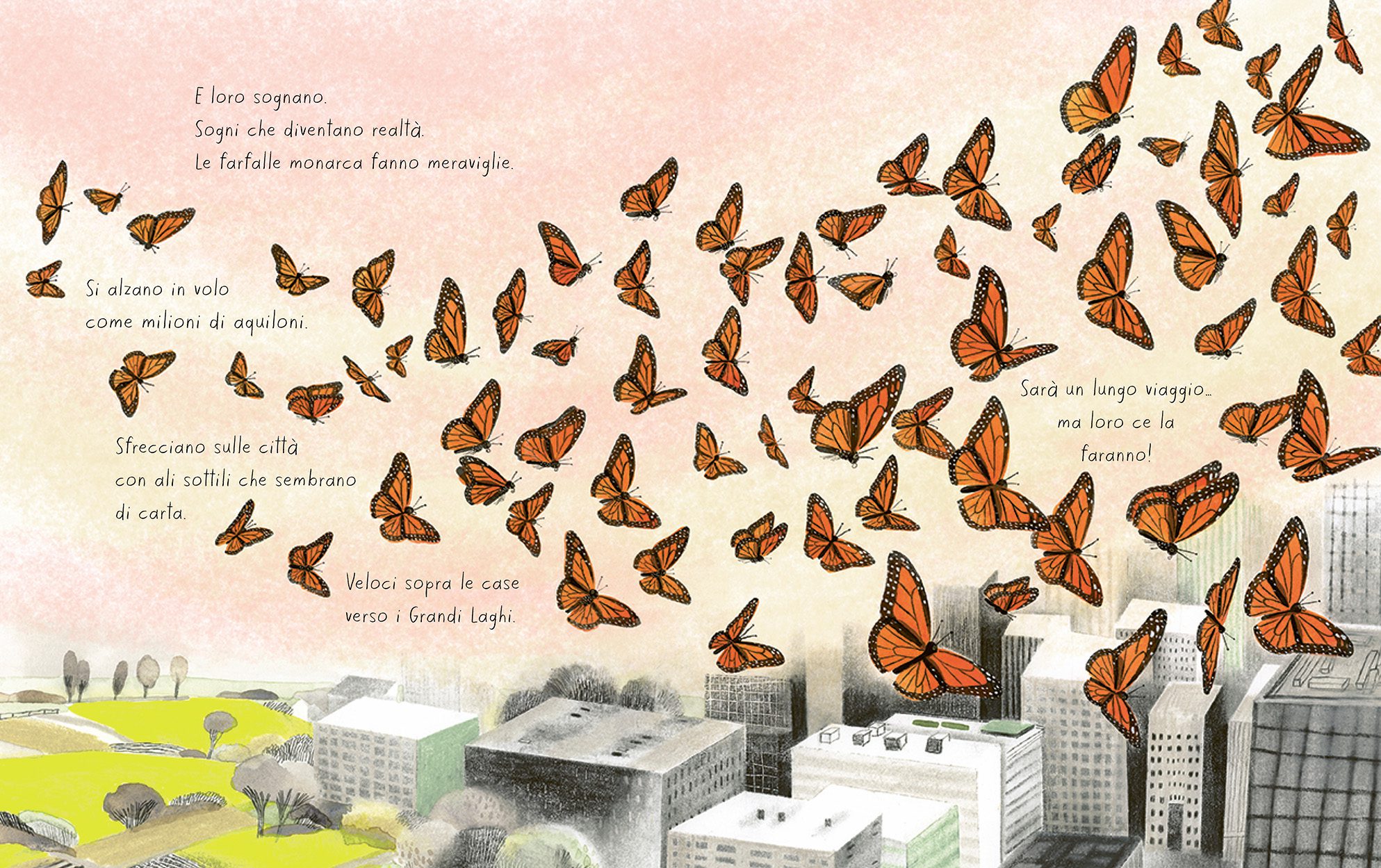 Vita da Farfalla Terre di Mezzo Albo Illustrato 48 Pagine