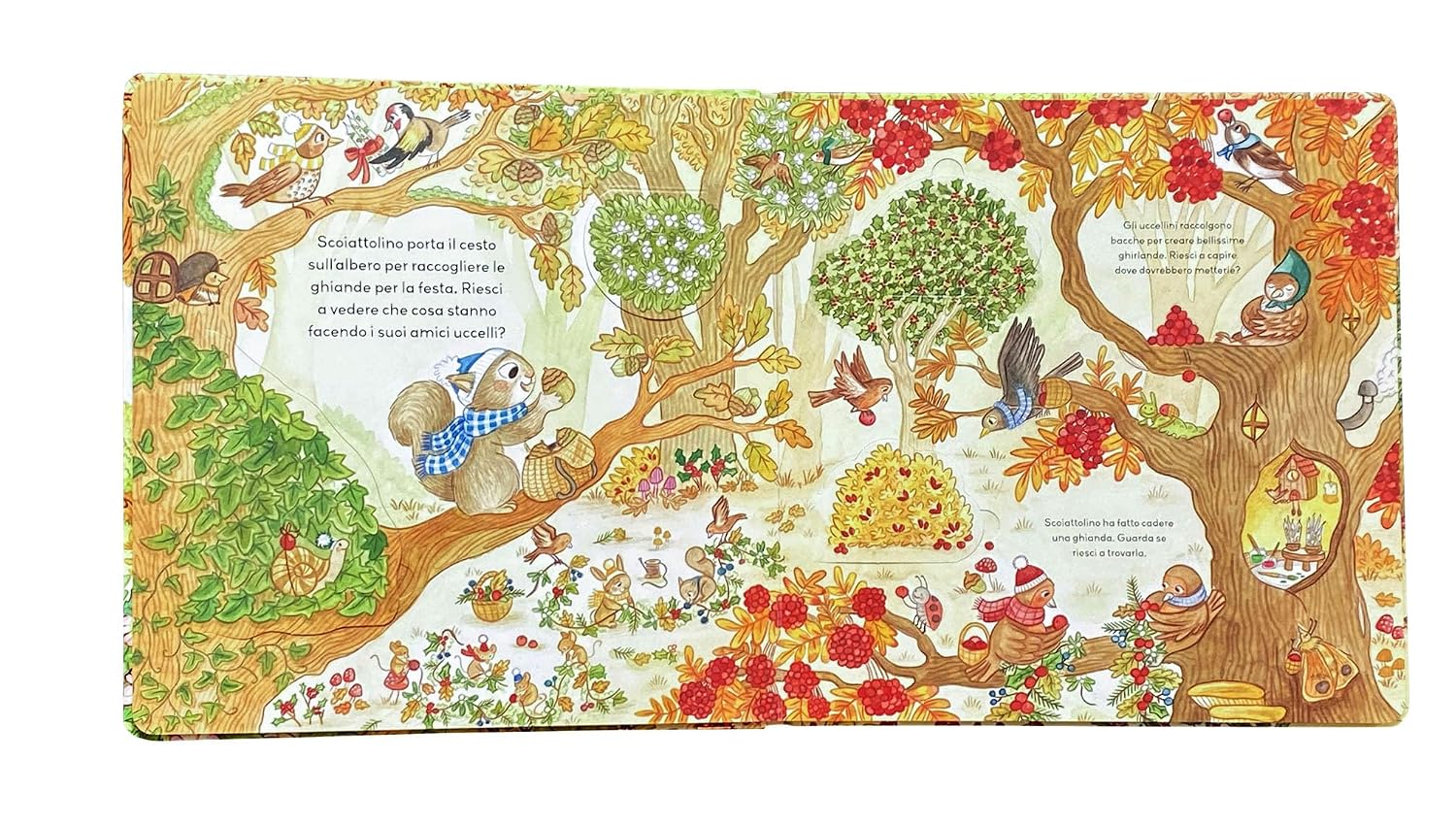 Emme Edizioni Amici della Foresta libro con alette