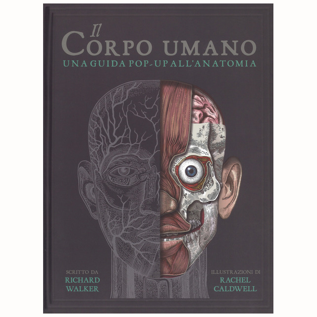 IdeeAli Corpo Umano guida pop-up anatomia bambini 5+ anni