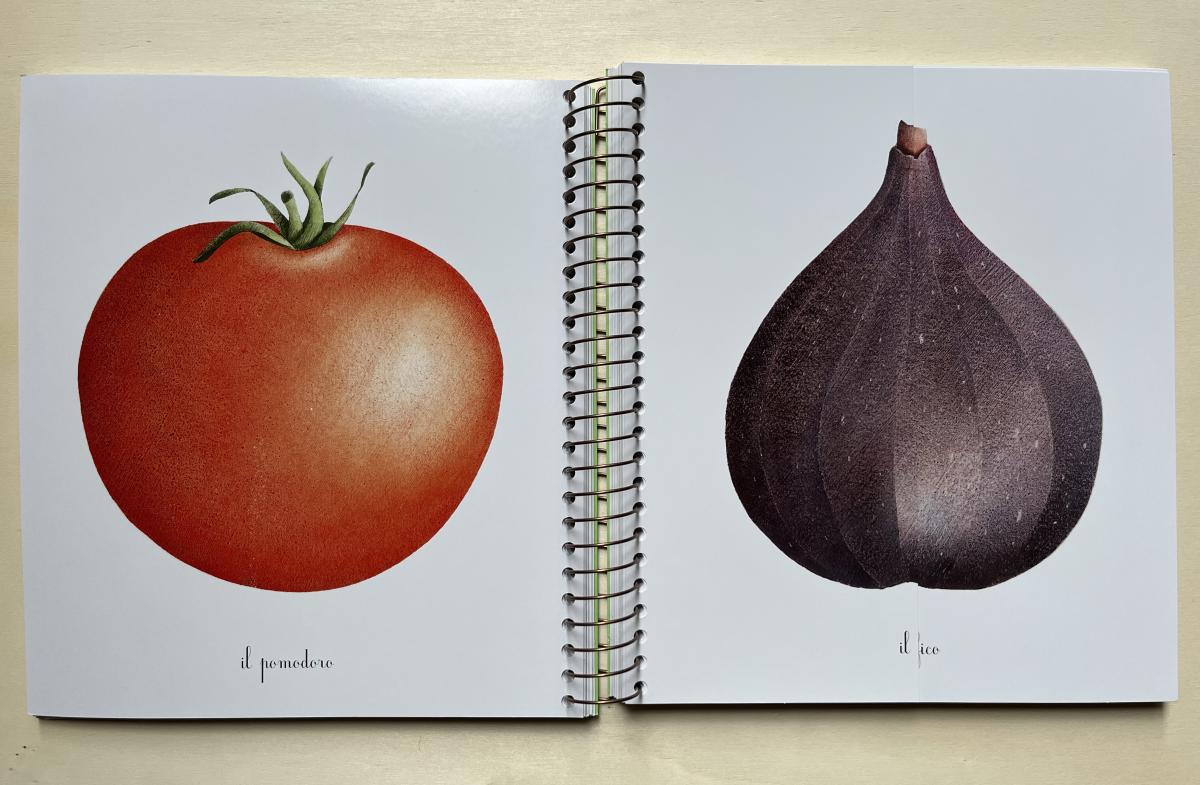 Topipittori Primavera Estate Autunno Inverno libro bambini con alette