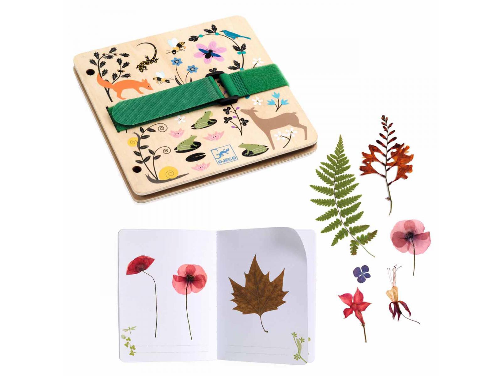 Djeco Do It Yourself Little Botanist kit pressa fiori carton