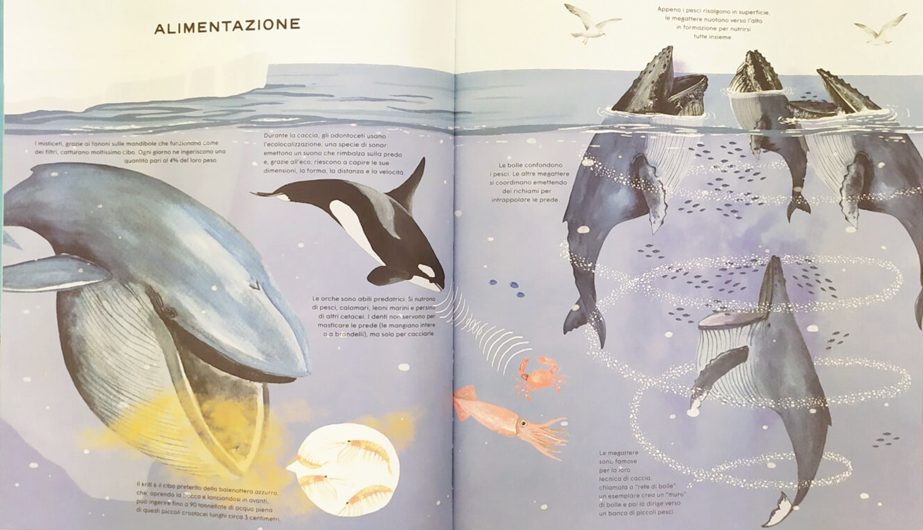 Aboca La vita segreta delle balene libro 48 pagine