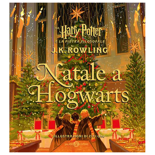 Harry Potter Natale a Hogwarts libro illustrato dai 6 anni