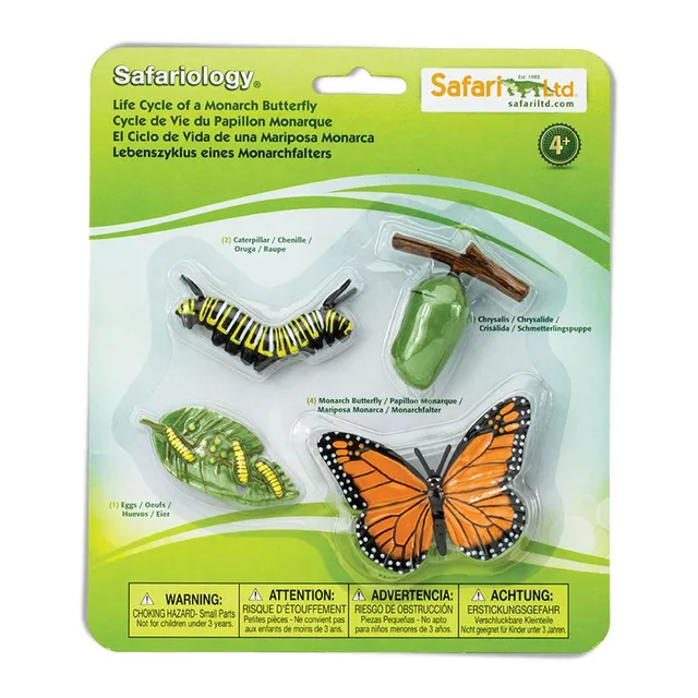 Safari Ltd ciclo vita farfalla monarca 4 figure resina