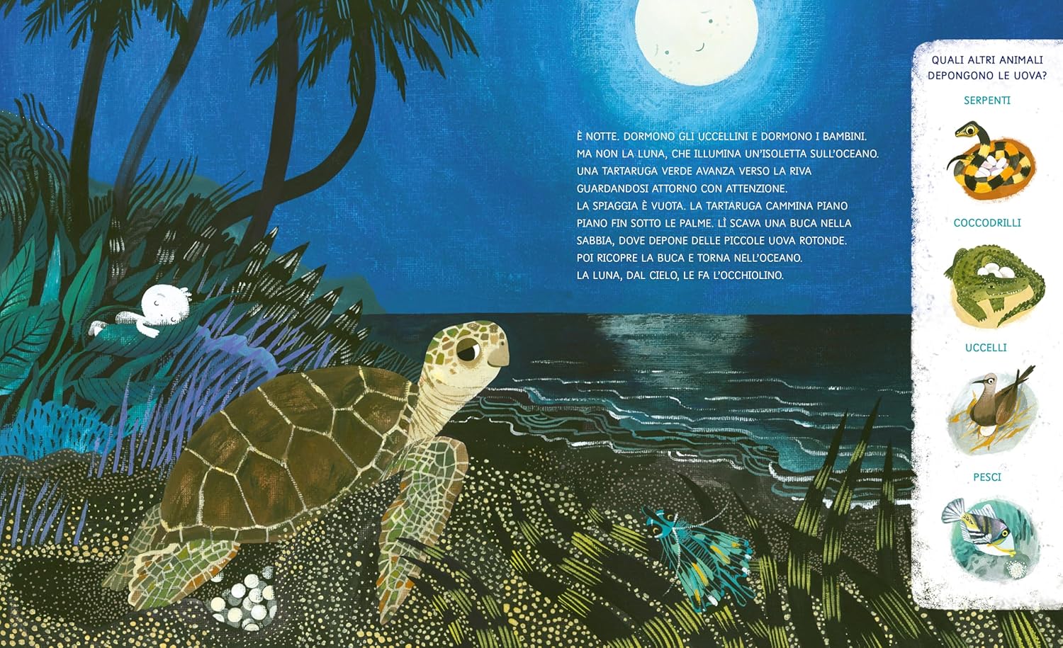 MIMEBÙ Cucù Racconta La Tartaruga Marina libro 3-6 anni